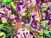 Un bouquet de fleurs séchées pour fêter le mois de juillet...